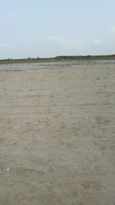 Land Available, Chevron, Lekki, Lagos, Land for Sale