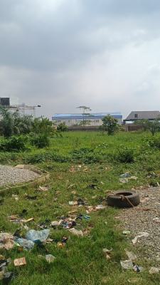 Full Plot of Land at Wesley Str,off Ashimolowo Jakande Estate,ipaja, Wesley Str,off Ashimolowo at The Back of Jakande Estate, Ipaja, Lagos, Mixed-use Land for Sale