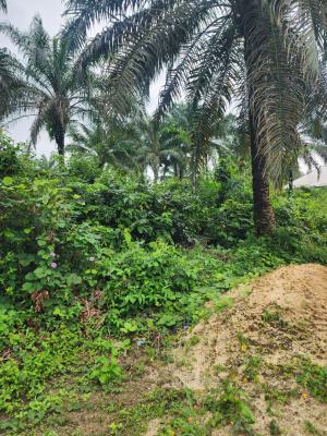 Strategically Located Parcel of Land, Shelter Afrique Estate Extension, Uyo, Akwa Ibom, Residential Land for Sale