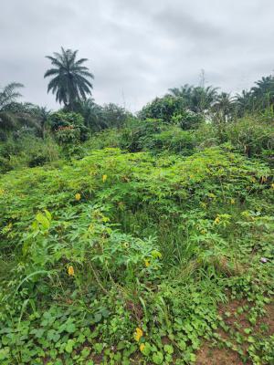Fantastic Parcel of Land, Shelter Afrique Estate Extension, Uyo, Akwa Ibom, Residential Land for Sale