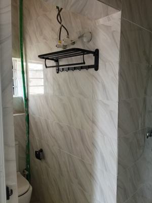 Brand New 2 Bedroom Flat ( 1st & 2nd Floors) with 24 Hrs Ligh, Ilasan, Ikate, Ikate, Lekki, Lagos, Flat / Apartment for Rent