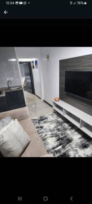 Luxurious Mini One Bedroom Apartment with Luxurious Fittings, 24hrs El, Lekki Phase 1, Lekki, Lagos, Mini Flat (room and Parlour) for Rent