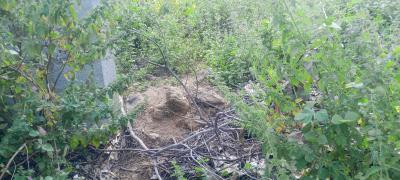 10 Hectares Mixed Use Comprehensive Development, Guzape 2, Guzape District, Abuja, Mixed-use Land for Sale