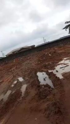 2 Plots of Land, Ile-epo Super Lagos, Alimosho, Lagos, Mixed-use Land for Sale