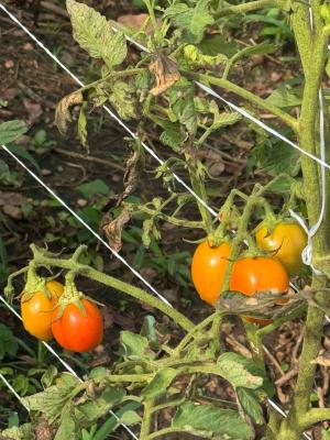 Paradiso Farms, Kesi Village, Alabata, Abeokuta South, Ogun, Industrial Land for Sale