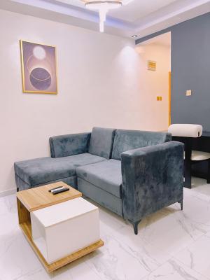 Beautiful One Bedroom Apartment, Ilupeju, Ilupeju, Lagos, Mini Flat (room and Parlour) Short Let