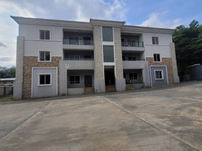 6 Units of Spaciously Finished 3 Bedroom, +bq for Cooperate, Maitama, Maitama District, Abuja, Detached Duplex for Rent