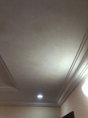 Clean and Spacious 3 Bedroom Flat, Platinum Estate, Badore, Ajah, Lagos, Flat / Apartment for Rent