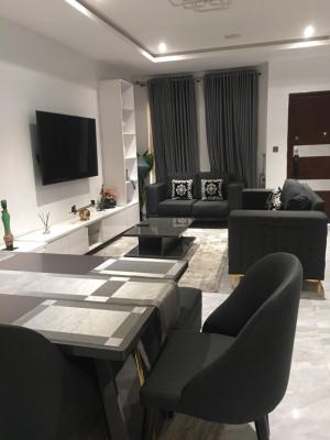 Fully Furnished Service 2 Bedroom Apartment, By Hoo, Ikate, Lekki, Lagos, House for Rent