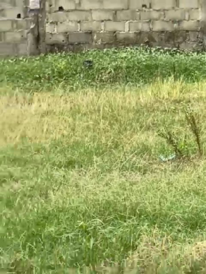 Prime Three and a Half Plots of Land, Close to The Lekki Epe Expressway, Awoyaya, Ibeju Lekki, Lagos, Commercial Land for Rent