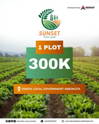 Most Affordable Premium Farm Land in an Estate, Odeda, Abeokuta South, Ogun, Industrial Land for Sale