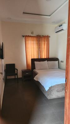 6 Bedrooom Apartments with Swimming Pool and Party Area, Ori-oke, Ogudu, Lagos, Commercial Property Short Let