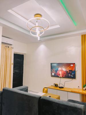 1 Bedroom Apartment, Ilupeju, Lagos, Mini Flat (room and Parlour) Short Let