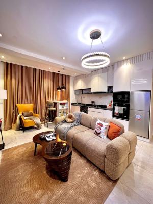 Exquisitely Furnished 1 Bedroom Apartment, Ikate, Lekki Phase 1, Lekki, Lagos, Flat / Apartment Short Let