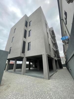 Affordable 2 Bedroom Luxurious Apartment, Ikate, Lekki, Lagos, Flat / Apartment for Sale