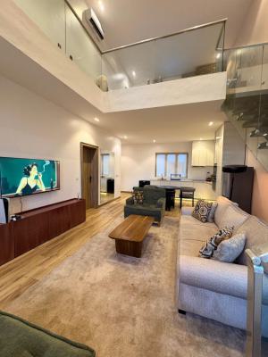 Well Maintained 1 Bedroom  Apartment, Lekki Phase One, Lekki, Lagos, Mini Flat (room and Parlour) Short Let