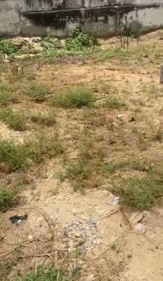 Dry 465 Sqm Plot of Land with C of O, Akoka, Yaba, Lagos, Residential Land for Sale