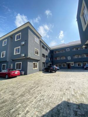 2 Bedroom Apartment, Ikate, Lekki, Lekki, Lagos, Flat / Apartment for Rent