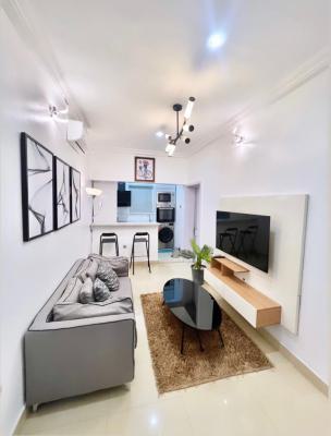 Furnished 2 Bedroom Serviced Apartment, Ikate, Lekki, Lagos, Flat / Apartment for Rent