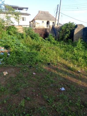 Nice Corner Piece of Land in a Good Location, Ekoro Junction, Abule Egba, Agege, Lagos, Land for Sale