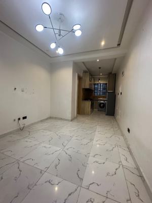 1 Bedroom Apartment, Off Domino Pizza Ologolo Lekki Lagos, Ologolo, Lekki, Lagos, Mini Flat (room and Parlour) for Rent