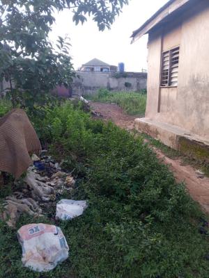 Vacant Full Plot of Land in a Nice Area, Ekoro Junction, Abule Egba, Agege, Lagos, Land for Sale