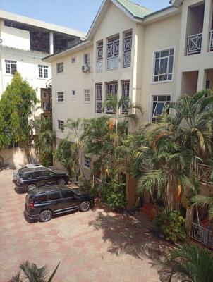 Fully Serviced and Furnished 3 Bedroom Apartment, Asokoro District, Abuja, Flat / Apartment for Rent