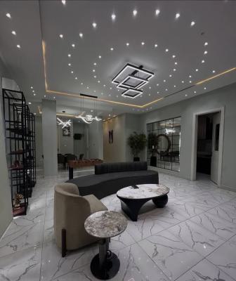 Furnished 2 Bedroom Apartment with Luxury Finish, Ikate, Lekki, Lagos, Flat / Apartment for Rent