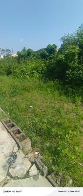 60by120 Plot of Land, Mojeed Adekunle Street, Ajah, Lagos, Residential Land for Sale