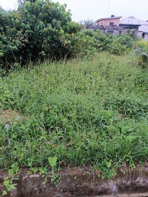 Half Plot Land, Opposite Novate Shoprite Ajah, Lekki Phase 2, Lekki, Lagos, Mixed-use Land for Sale