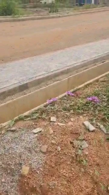 Premium 1,000sqm Residential Land, Owena Close, Maitama, Abuja Fct, Maitama District, Abuja, Residential Land for Sale