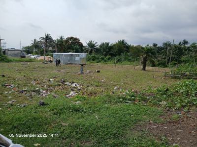 Two Plots of Bareland, Railway Compound, Yaba, Lagos, Land for Sale