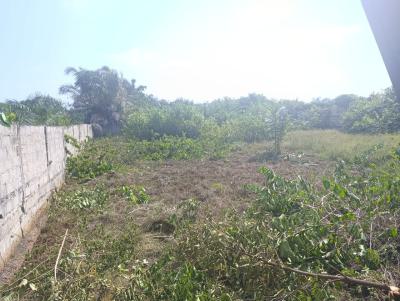 2 Plots of Land, Ajayi Apata Estate, Sangotedo, Ajah, Lagos, Residential Land for Sale