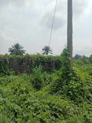 Well Located 8 Plots of Land, Obirikwerre Airport Road, Port Harcourt, Rivers, Mixed-use Land for Sale