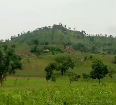 100 Hectares of Land., Guzape District, Abuja, Mixed-use Land for Sale