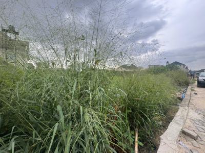 an Empty Land Measuring 648sqm, Maryland, Lagos, Residential Land for Sale