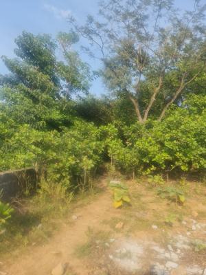 Prime Multi-functional Land, Maitama 2, Maitama District, Abuja, Mixed-use Land for Sale