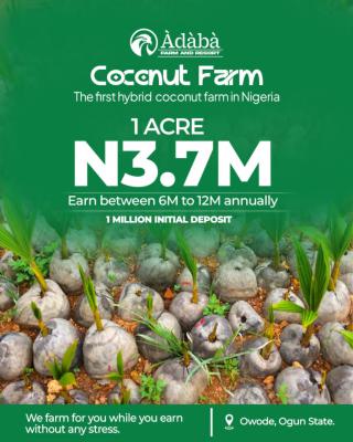 1 Acre Coconut Farm Land, Owode, Obafemi Owode, Ogun, Commercial Land for Sale
