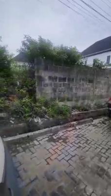 1,065sqm Fenced Land for Immediate Development, Empire Estate, Chevron Drive, Lekki Expressway, Lekki, Lagos, Residential Land for Sale