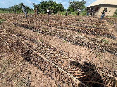 Most Affordable Farmland with No Hidden Extra Fees, Own an Acre of Land Suitable for Oil Palm , Start with a Deposit, Imeko Afon, Ogun, Mixed-use Land for Sale