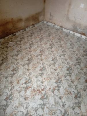 Newly Built Mini Flat, Off Omotayo Street., Ori-oke, Ogudu, Lagos, Mini Flat (room and Parlour) for Rent