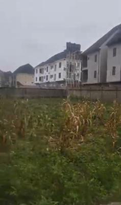 1,014sqm, Residential, C of O, Jahi, Abuja, Residential Land for Sale