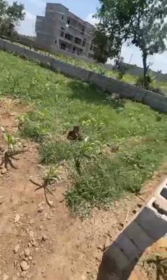 1,028sqm, Residential, C of O, Good Road, Behind Paradise 1 Estate, Life Camp, Abuja, Residential Land for Sale