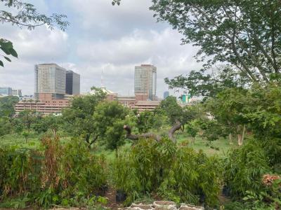 Commercial Land, Constitution Avenue, Central Business District, Abuja, Commercial Land for Sale