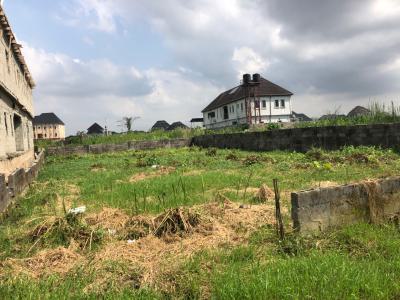 Full Plot of Land, Greenfield Estate, Ago Palace, Isolo, Lagos, Mixed-use Land for Sale