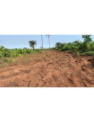 Full Plot of Land, Lusada - Igbesa, Atan Ota, Ado-odo/ota, Ogun, Mixed-use Land for Sale