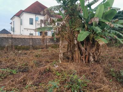 120ft By 146ft Land with Cofo, Aruogba Community, Off Airport Road Gra, Benin, Oredo, Edo, Land for Sale