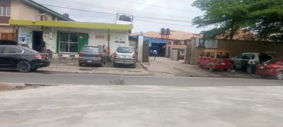 Dry Land Measuring 1200sqm (2plots), Estaport Avenue, Gbagada, Lagos, Commercial Land for Sale