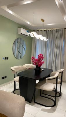 Fully Furnished 2 Bedroom Apartment, Ikate, Lekki, Lagos, Flat / Apartment for Rent