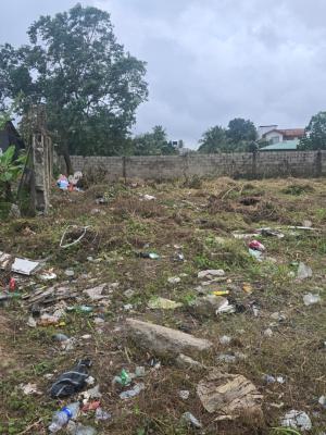 Strategically Positioned 1,100sqm Size Land, Festac, Amuwo Odofin, Lagos, Residential Land for Sale